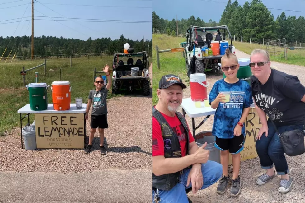 South Dakota Lemonade Stand Raises Over $60K